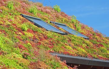 Siabost Bho Thuath living roof systems